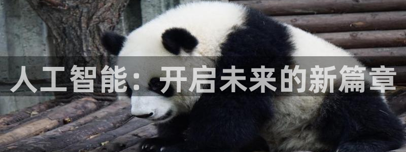 人工智能：开启未来的新篇章