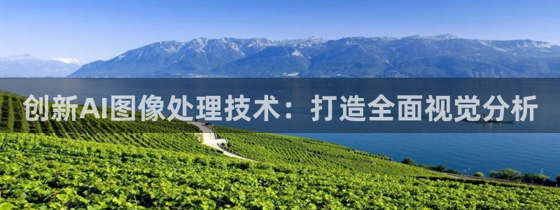 创新AI图像处理技术：打造全面视觉分析