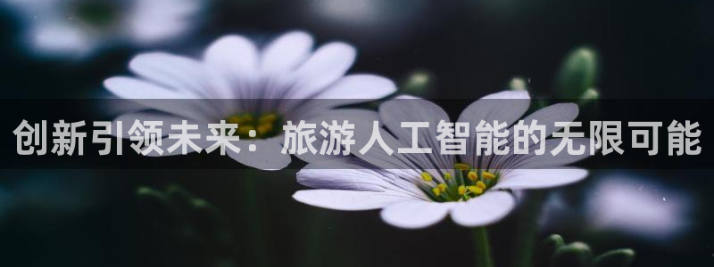 创新引领未来：旅游人工智能的无限可能