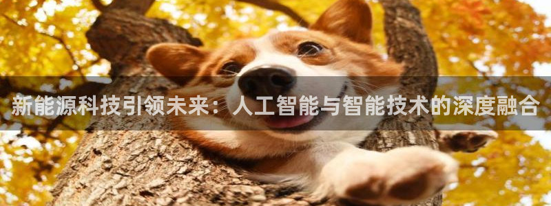 新能源科技引领未来：人工智能与智能技术的深度融合