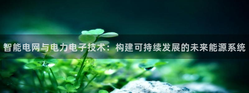智能电网与电力电子技术：构建可持续发展的未来能源系统