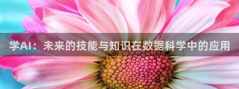 学AI：未来的技能与知识在数据科学中的应用