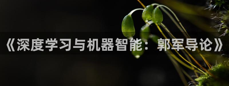 《深度学习与机器智能：郭军导论》