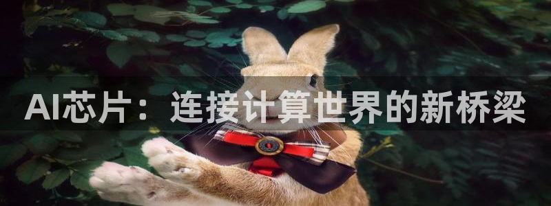 AI芯片：连接计算世界的新桥梁