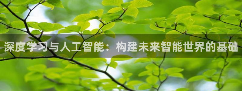 深度学习与人工智能：构建未来智能世界的基础