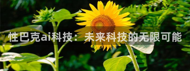 性巴克ai科技：未来科技的无限可能