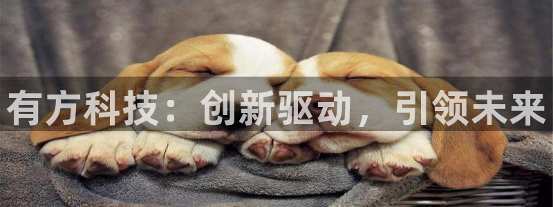 有方科技：创新驱动，引领未来