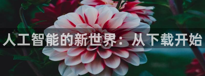 人工智能的新世界：从下载开始