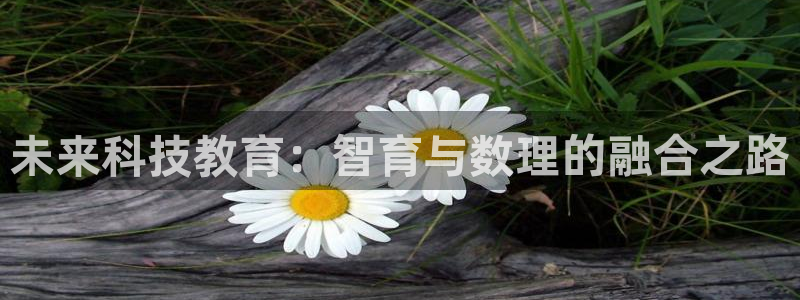 未来科技教育：智育与数理的融合之路
