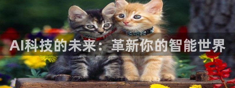 AI科技的未来：革新你的智能世界