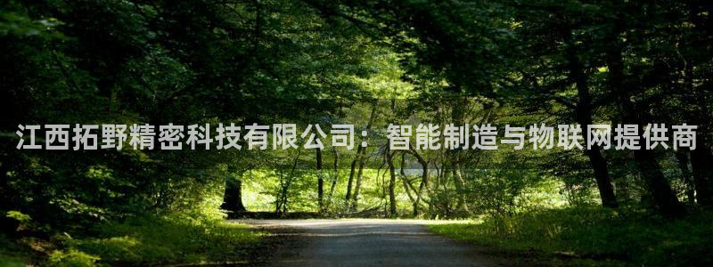 江西拓野精密科技有限公司：智能制造与物联网提供商