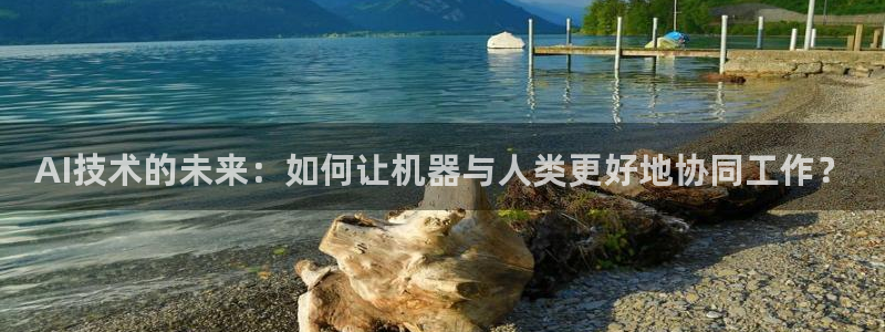 AI技术的未来：如何让机器与人类更好地协同工作？
