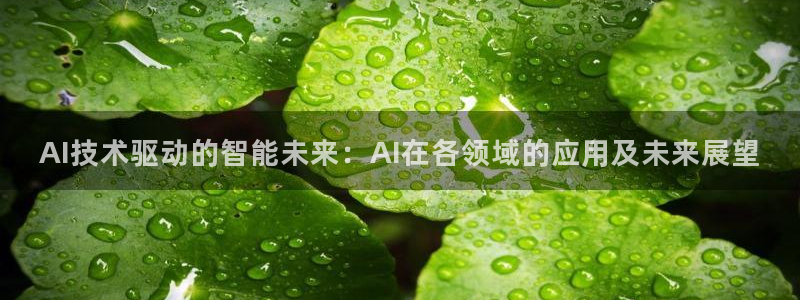 AI技术驱动的智能未来：AI在各领域的应用及未来展望