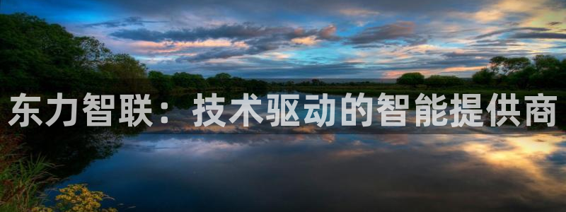东力智联：技术驱动的智能提供商