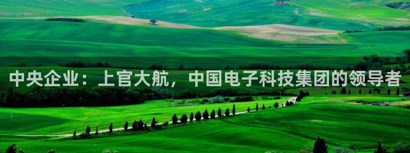 中央企业：上官大航，中国电子科技集团的领导者