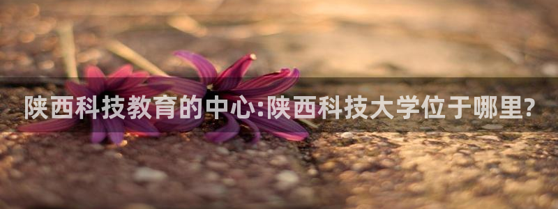 陕西科技教育的中心:陕西科技大学位于哪里?