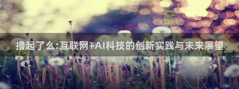 撸起了么:互联网+AI科技的创新实践与未来展望