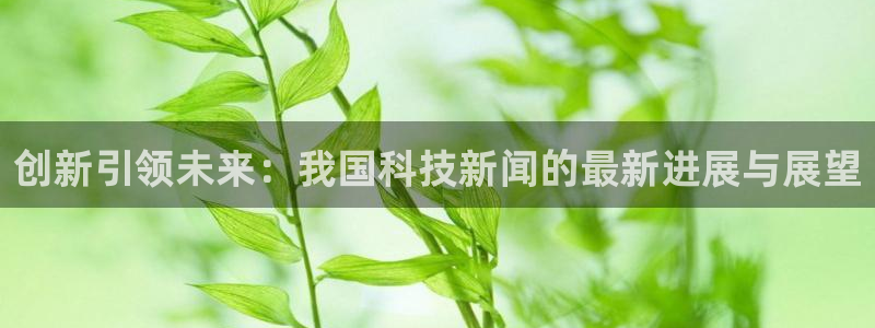 创新引领未来：我国科技新闻的最新进展与展望