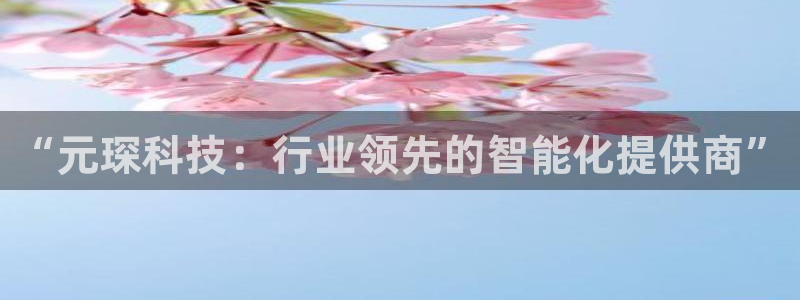 “元琛科技：行业领先的智能化提供商”