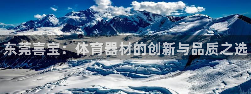 东莞喜宝：体育器材的创新与品质之选