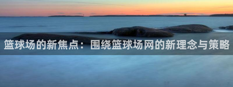 篮球场的新焦点：围绕篮球场网的新理念与策略