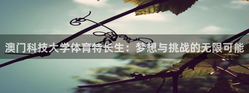 澳门科技大学体育特长生：梦想与挑战的无限可能
