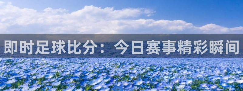 即时足球比分：今日赛事精彩瞬间
