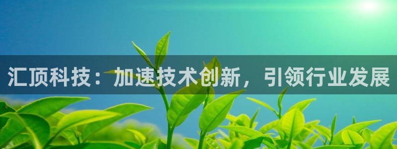 汇顶科技：加速技术创新，引领行业发展